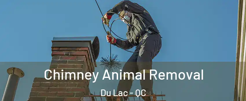  Chimney Animal Removal Du Lac - QC