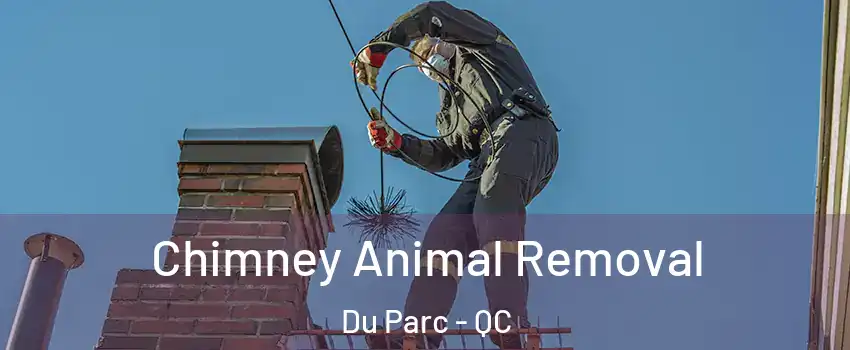  Chimney Animal Removal Du Parc - QC