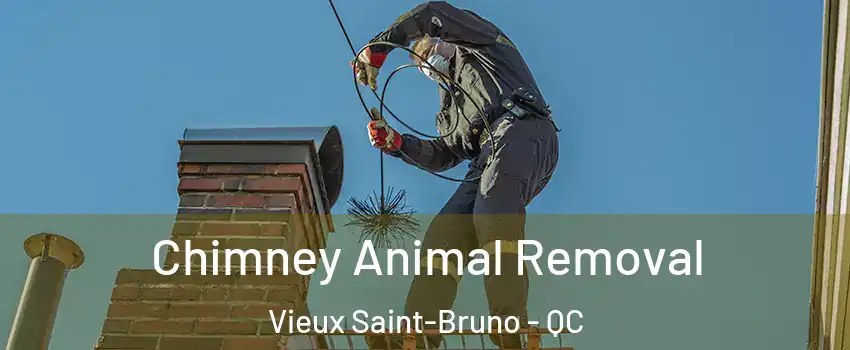  Chimney Animal Removal Vieux Saint-Bruno - QC