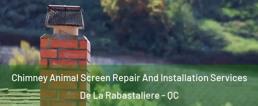  Chimney Animal Screen Repair And Installation Services De La Rabastaliere - QC