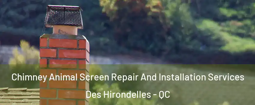  Chimney Animal Screen Repair And Installation Services Des Hirondelles - QC