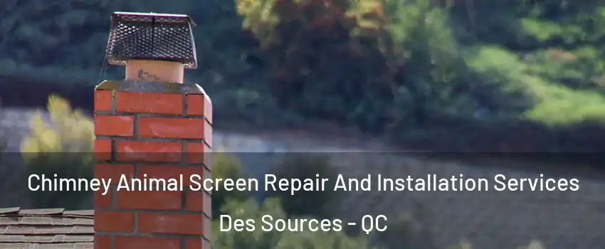  Chimney Animal Screen Repair And Installation Services Des Sources - QC