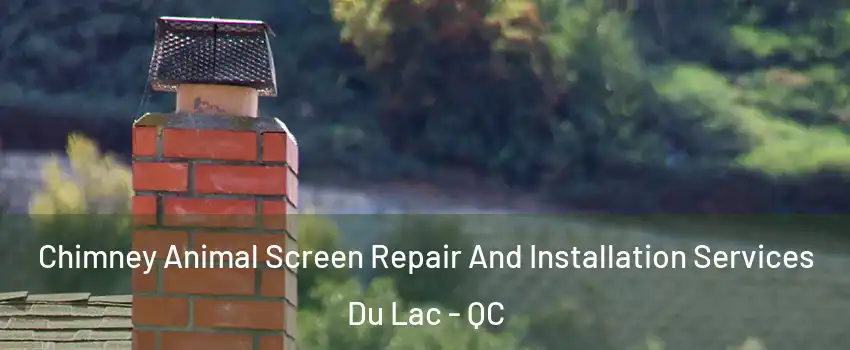  Chimney Animal Screen Repair And Installation Services Du Lac - QC