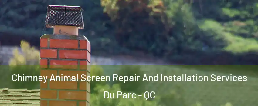  Chimney Animal Screen Repair And Installation Services Du Parc - QC