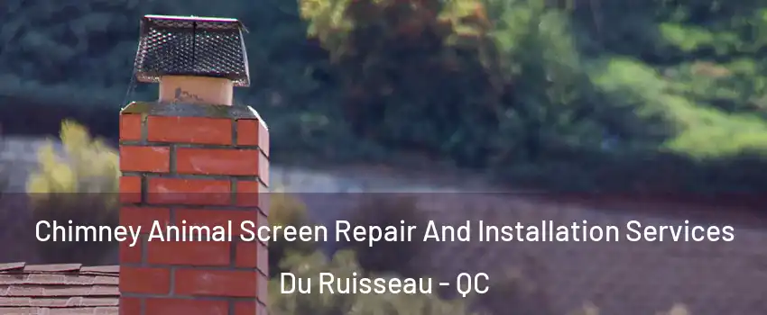  Chimney Animal Screen Repair And Installation Services Du Ruisseau - QC