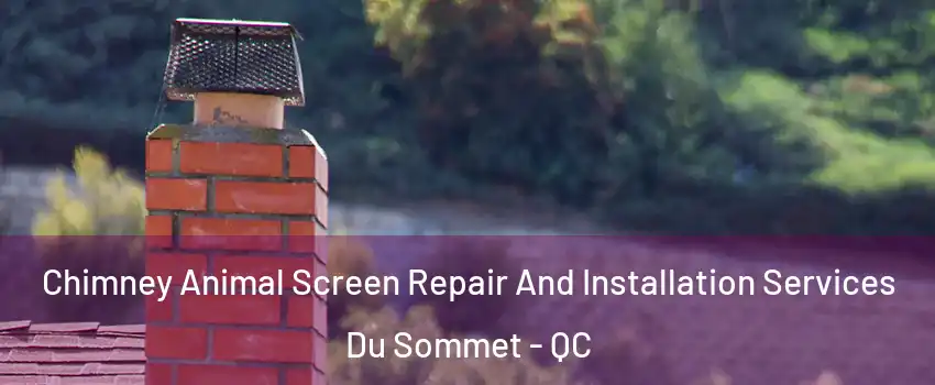  Chimney Animal Screen Repair And Installation Services Du Sommet - QC