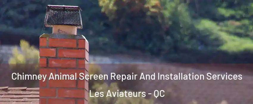  Chimney Animal Screen Repair And Installation Services Les Aviateurs - QC