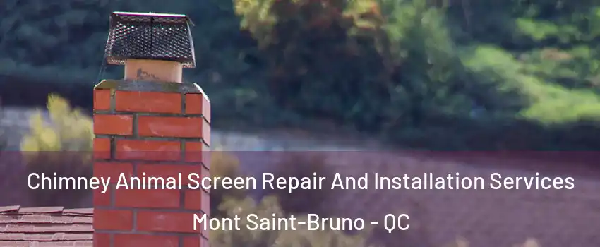  Chimney Animal Screen Repair And Installation Services Mont Saint-Bruno - QC