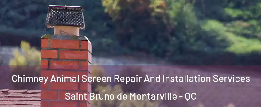  Chimney Animal Screen Repair And Installation Services Saint Bruno de Montarville - QC