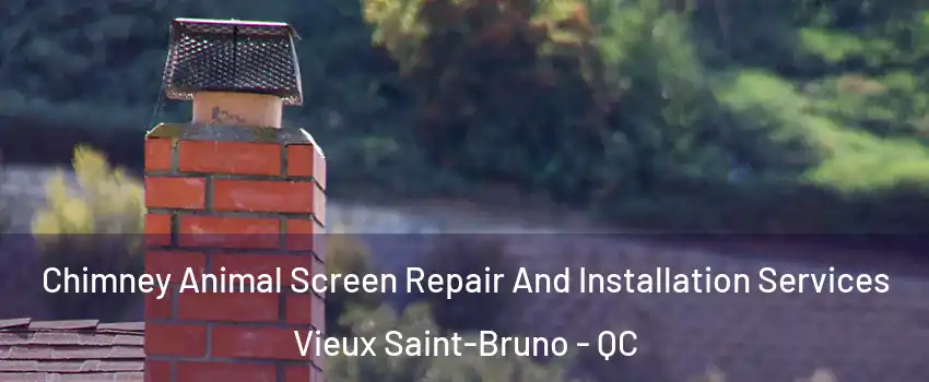  Chimney Animal Screen Repair And Installation Services Vieux Saint-Bruno - QC