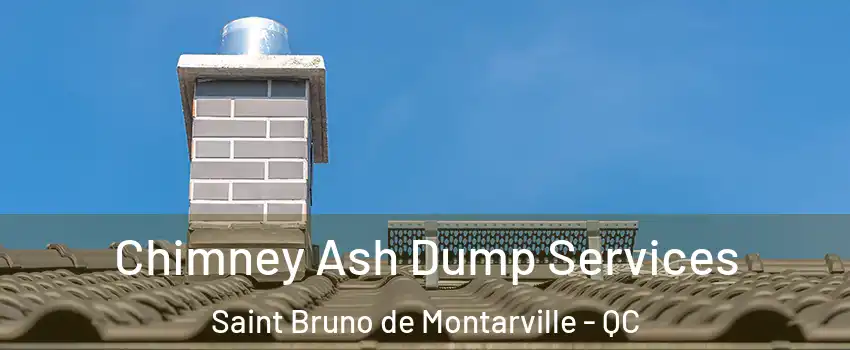  Chimney Ash Dump Services Saint Bruno de Montarville - QC