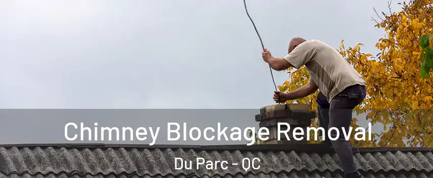  Chimney Blockage Removal Du Parc - QC