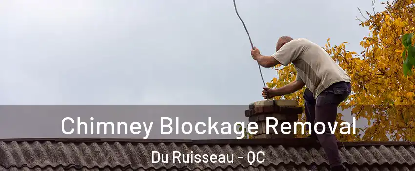  Chimney Blockage Removal Du Ruisseau - QC