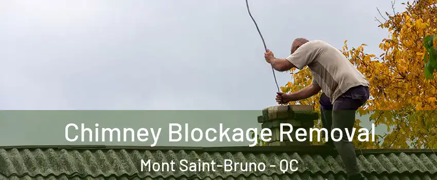  Chimney Blockage Removal Mont Saint-Bruno - QC