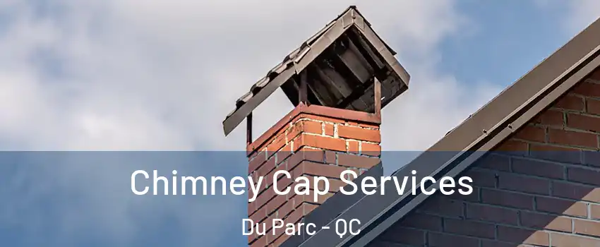  Chimney Cap Services Du Parc - QC