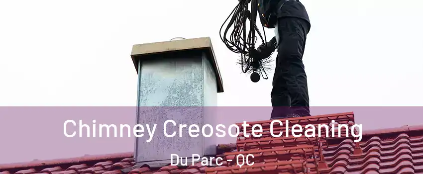  Chimney Creosote Cleaning Du Parc - QC