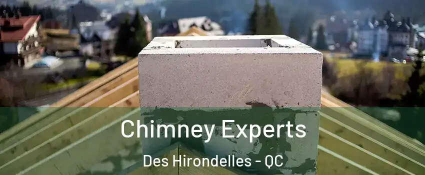  Chimney Experts Des Hirondelles - QC