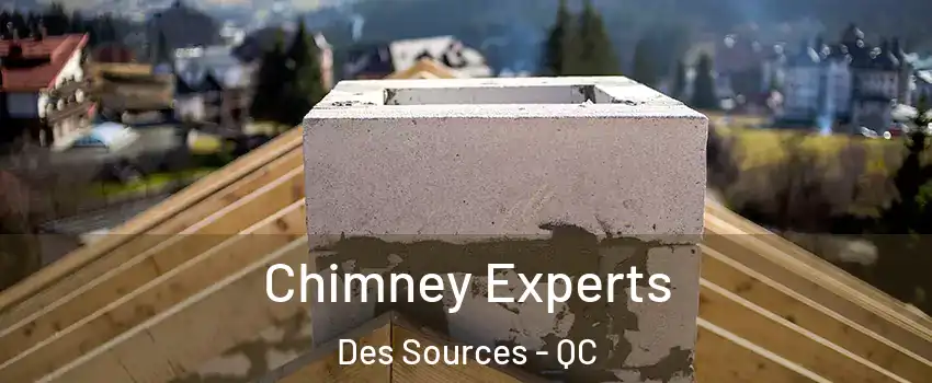  Chimney Experts Des Sources - QC