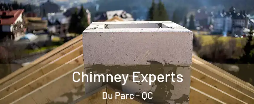  Chimney Experts Du Parc - QC