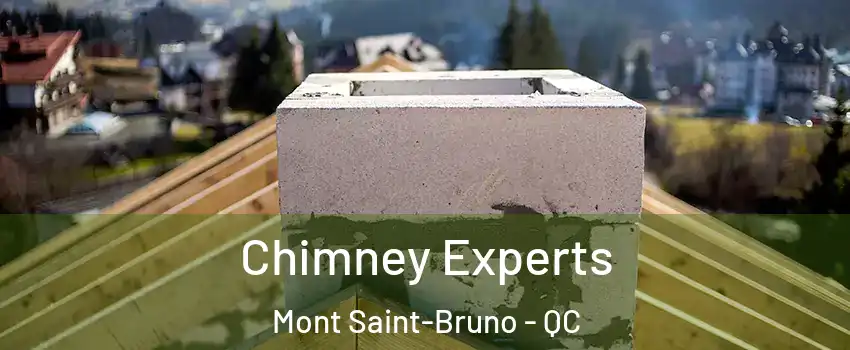  Chimney Experts Mont Saint-Bruno - QC