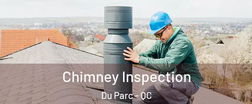  Chimney Inspection Du Parc - QC