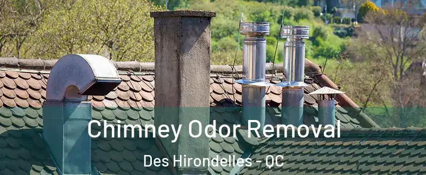  Chimney Odor Removal Des Hirondelles - QC