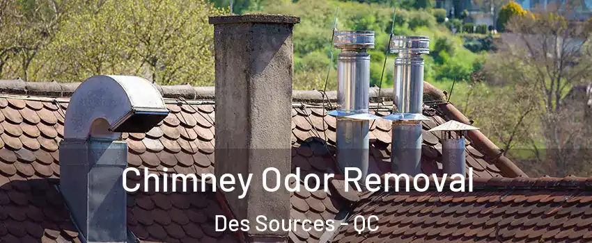  Chimney Odor Removal Des Sources - QC