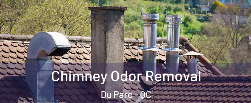  Chimney Odor Removal Du Parc - QC
