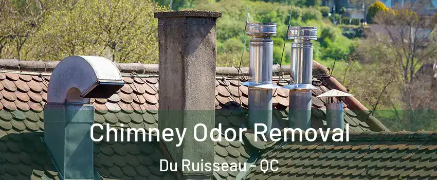  Chimney Odor Removal Du Ruisseau - QC