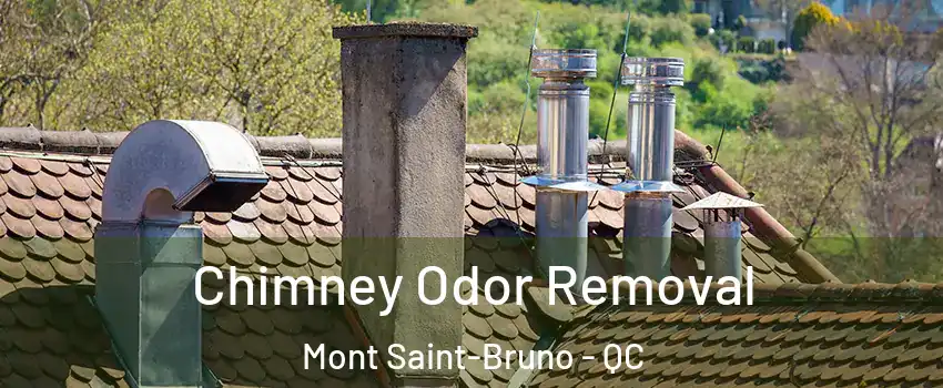  Chimney Odor Removal Mont Saint-Bruno - QC