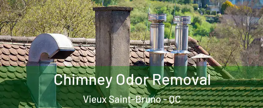  Chimney Odor Removal Vieux Saint-Bruno - QC
