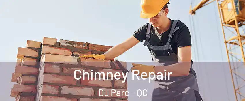  Chimney Repair Du Parc - QC