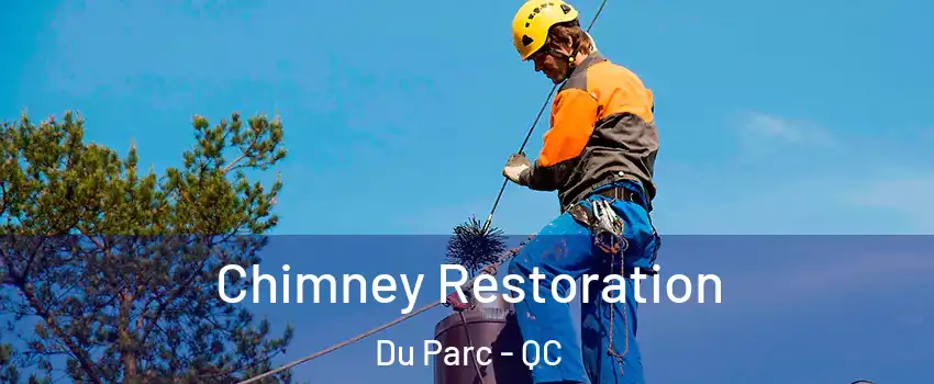  Chimney Restoration Du Parc - QC