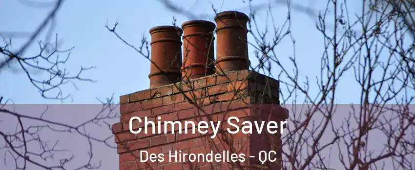  Chimney Saver Des Hirondelles - QC