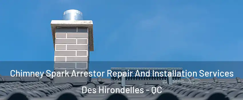  Chimney Spark Arrestor Repair And Installation Services Des Hirondelles - QC