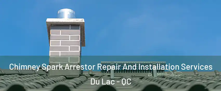 Chimney Spark Arrestor Repair And Installation Services Du Lac - QC