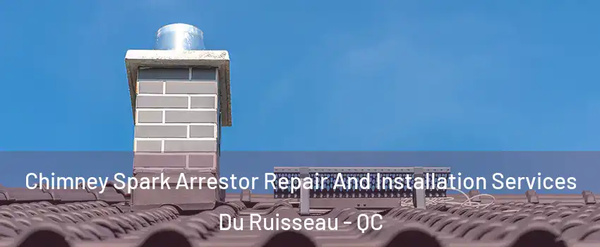  Chimney Spark Arrestor Repair And Installation Services Du Ruisseau - QC