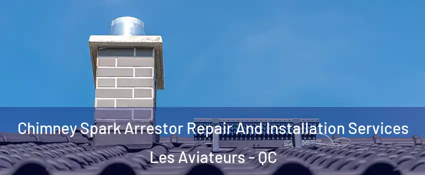  Chimney Spark Arrestor Repair And Installation Services Les Aviateurs - QC