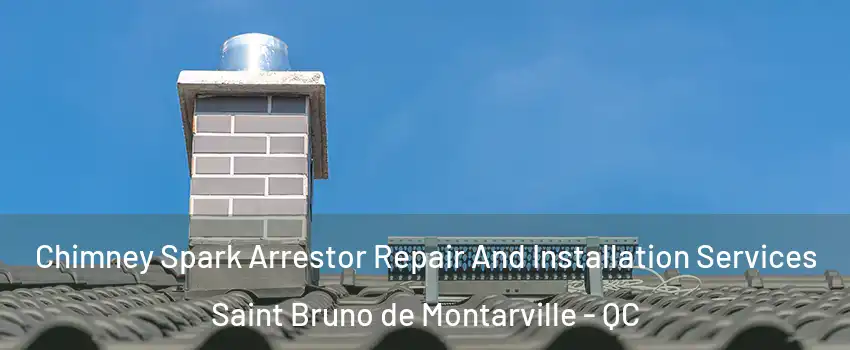  Chimney Spark Arrestor Repair And Installation Services Saint Bruno de Montarville - QC