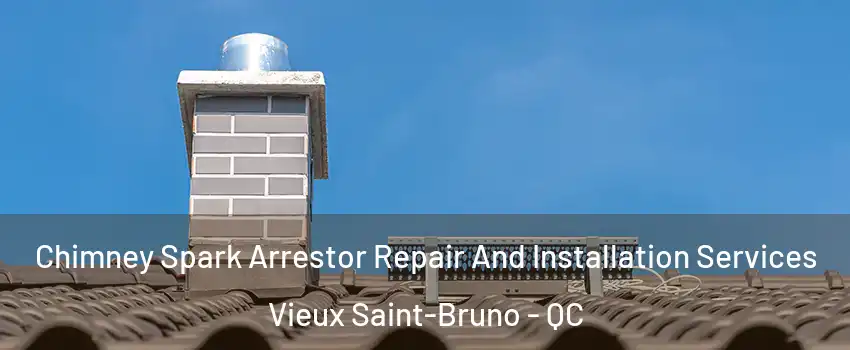  Chimney Spark Arrestor Repair And Installation Services Vieux Saint-Bruno - QC