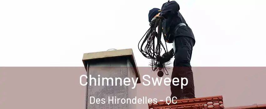  Chimney Sweep Des Hirondelles - QC