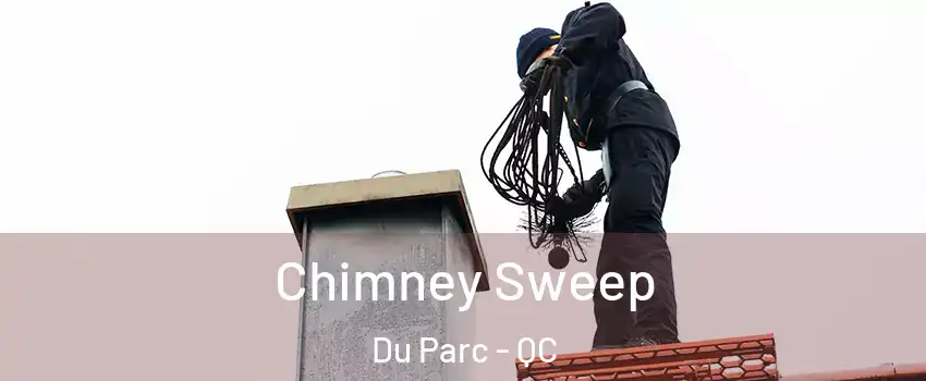  Chimney Sweep Du Parc - QC