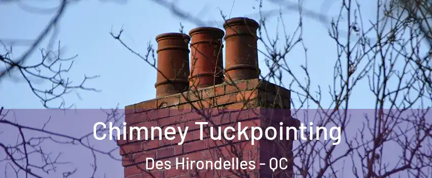  Chimney Tuckpointing Des Hirondelles - QC