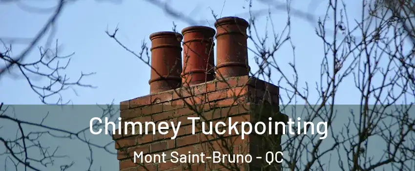  Chimney Tuckpointing Mont Saint-Bruno - QC