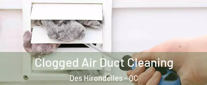  Clogged Air Duct Cleaning Des Hirondelles - QC
