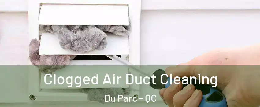  Clogged Air Duct Cleaning Du Parc - QC