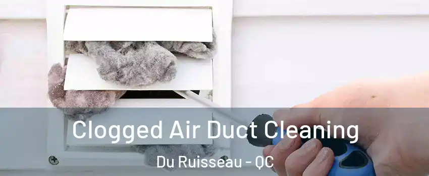  Clogged Air Duct Cleaning Du Ruisseau - QC