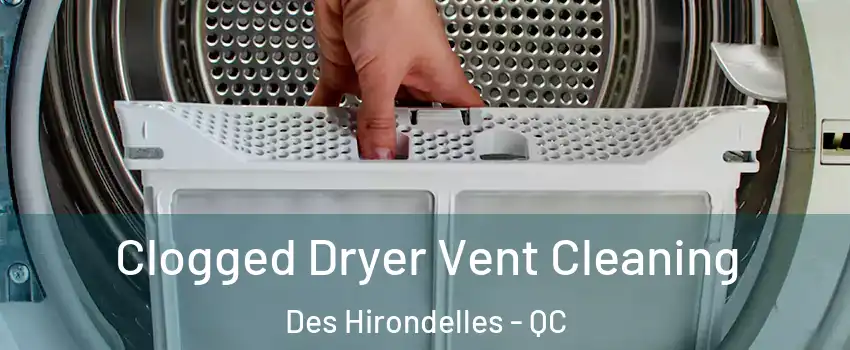  Clogged Dryer Vent Cleaning Des Hirondelles - QC
