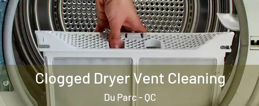  Clogged Dryer Vent Cleaning Du Parc - QC