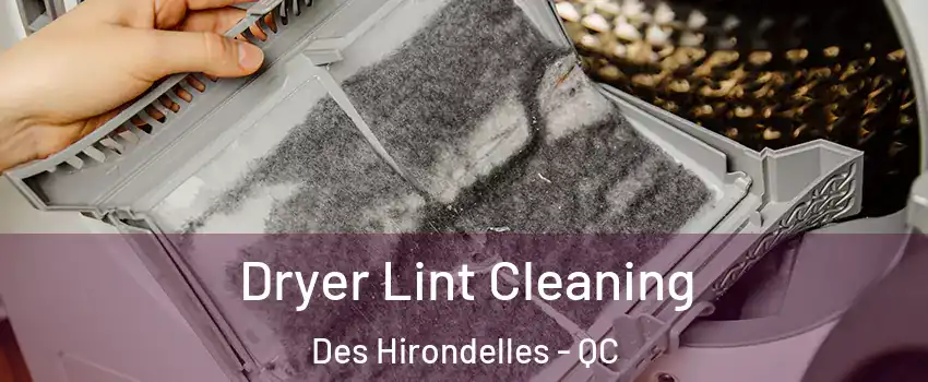  Dryer Lint Cleaning Des Hirondelles - QC